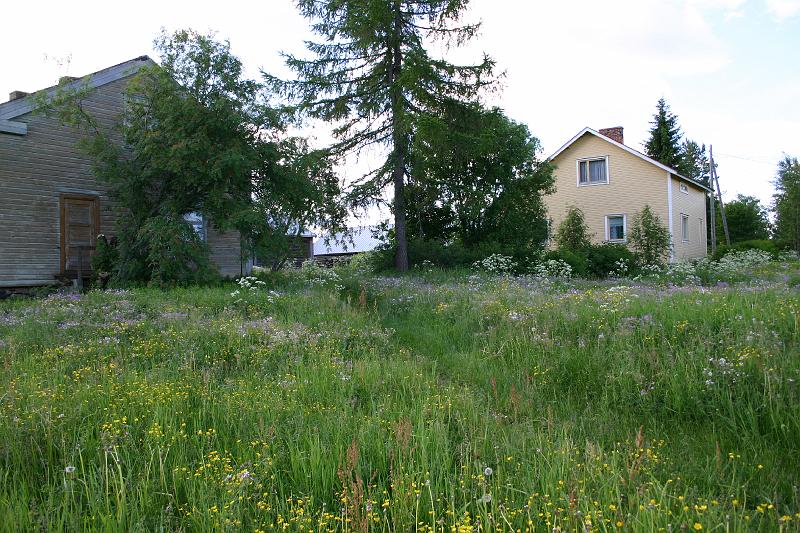 lehmila_juhannus_2005 041.jpg